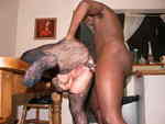 Nigel Night. Nigel and Debbie Does Squirt Pt2 Free Pic 7