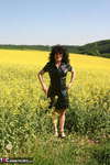German Isabel. Yellow Field Free Pic 1