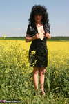 German Isabel. Yellow Field Free Pic 3