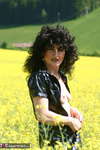 German Isabel. Yellow Field Free Pic 5