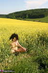 German Isabel. Yellow Field Free Pic 17