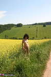 German Isabel. Yellow Field Free Pic 19