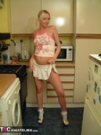 Tracey Lain. Blonde Fucked in the Kitchen Free Pic 1