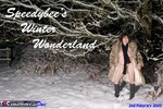 SpeedyBee. Speedy's Winter Wonderland Free Pic 1