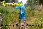 SpeedyBee. Famous Blue Raincoat Free Pic 1