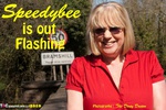SpeedyBee. Flashing In The Country Free Pic 1
