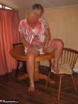 Girdle Goddess. Dining Room Table Free Pic 5