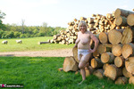 SpeedyBee. By The Log Pile Free Pic 1