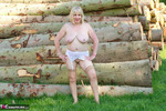 SpeedyBee. By The Log Pile Free Pic 2
