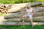 SpeedyBee. By The Log Pile Free Pic 3