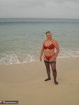 Barby. Barby Holidays 3 Free Pic 3