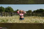 Melody. Summer Meadow Free Pic 1