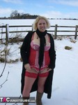 Barby. Cold, Frozen But Fun Free Pic 2