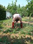 Mary Bitch. in my vegetable garden Free Pic 7
