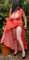 Juicey Janey. Blooming Lovely Bush Free Pic 3