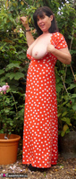 Juicey Janey. Blooming Lovely Bush Free Pic 5