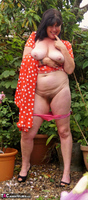 Juicey Janey. Blooming Lovely Bush Free Pic 10