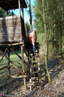 Sweet Susi. The Forest Watchtower Free Pic 20