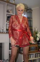 Dimonty. Red Lace House Coat & Panties Free Pic 7