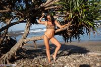 Roxeanne. Wild Tiiger Bikini Free Pic 18