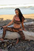 Roxeanne. Wild Tiger Leggings Free Pic 7
