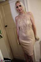 Tracey Lain. Gold Sequin Dress Pt1 Free Pic 1