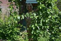 Barby Slut. Garden Shoot Free Pic 14