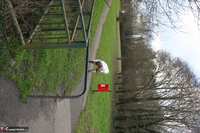 Lexie Cummings. Nurse Lexie Flashes In The Park Free Pic 5