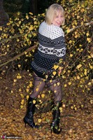 SpeedyBee. Autumn Leaves Free Pic 17