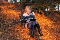 SpeedyBee. Autumn Leaves Free Pic 18