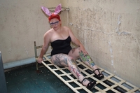 Mollie Foxxx. Mollie Bunny Free Pic 1