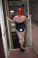 Mollie Foxxx. Mollie Bunny Free Pic 12