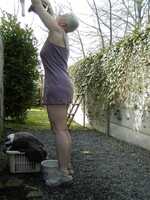 Tiffany Pearl. Laundry Flashing Free Pic 2