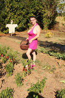 Mary Bitch. Reotic Cooking Chilli Jelly Free Pic 1