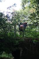 Lexie Cummings. Flashing At The Bridge Free Pic 5