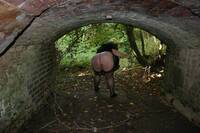 Lexie Cummings. Flashing At The Bridge Free Pic 12