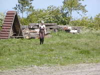 Tiffany Pearl. I'm So Bench! Free Pic 1