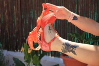 Melody. Orange Everything Pt4 Free Pic 5