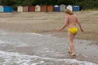 SpeedyBee. On The Beach Free Pic 5