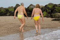 SpeedyBee. On The Beach Free Pic 9