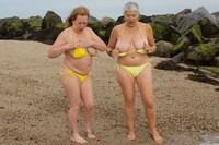 SpeedyBee. On The Beach Free Pic 10