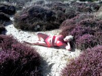 Sparkle. Granny Sparkle At The Beach Free Pic 12