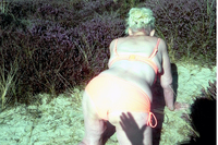 Sparkle. Granny Sparkle At The Beach Free Pic 15