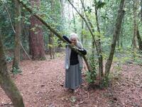 Sparkle. Flashing In The Woods Free Pic 3