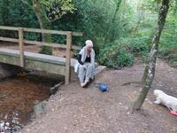 Sparkle. Flashing In The Woods Free Pic 15