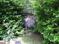 Tiffany Pearl. The Fucking Machine Free Pic 1