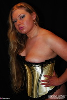 Luscious Models. Curvy Meile Gold Corset & Black Fishnet Stockings Pt2 Free Pic 19