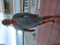 Barby. Lacey Underwear On The Balcony Free Pic 3
