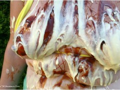 ValGasmic Exposed - Sploshing Gallery