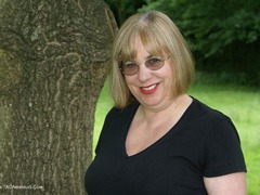 SpeedyBee - Ambarrow Court Gallery